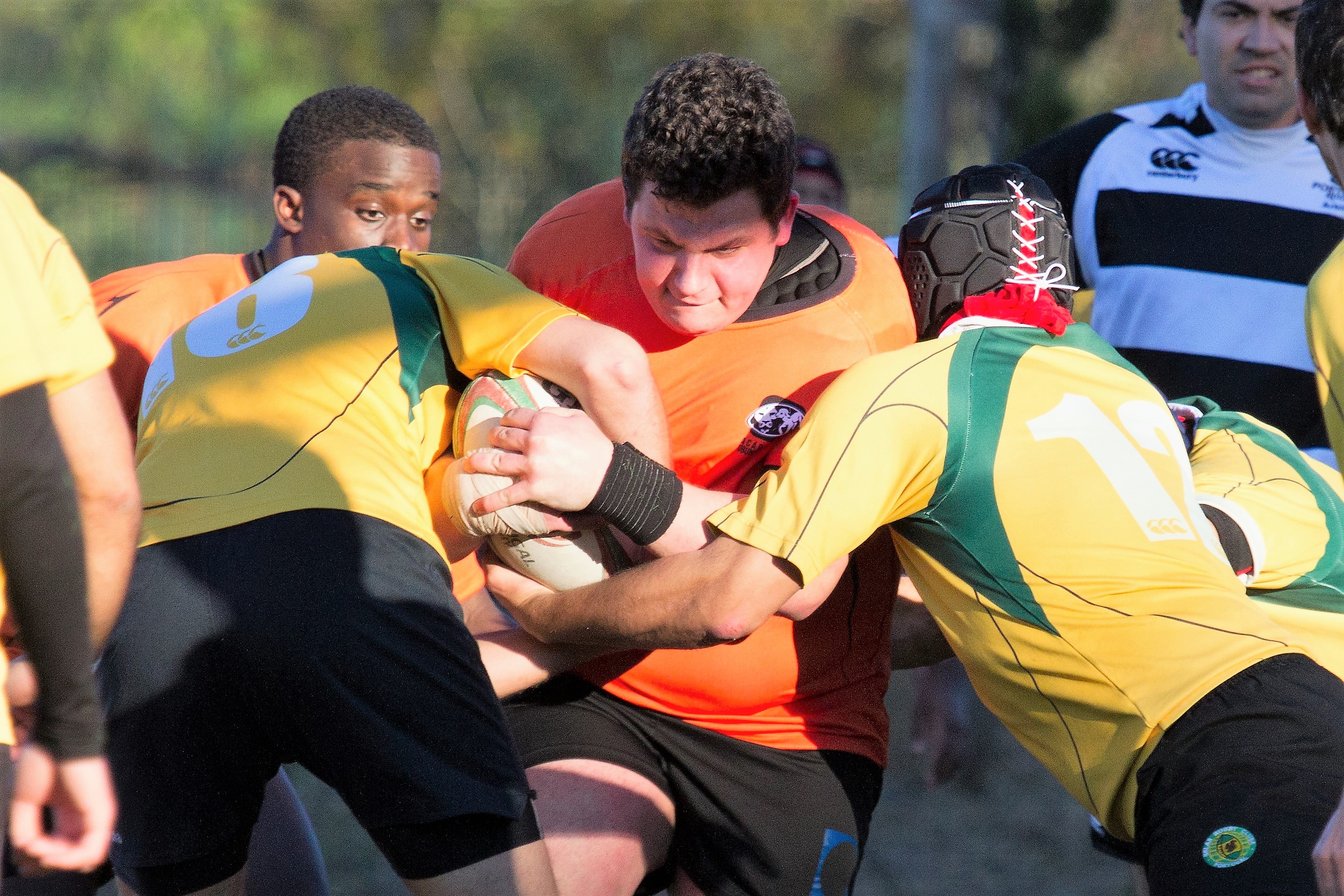 Treino de formação